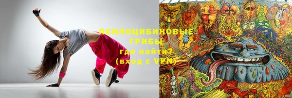 тгк Осинники