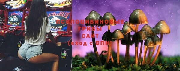 тгк Осинники