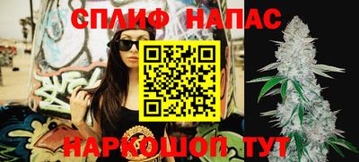 прущие грибы Бийск