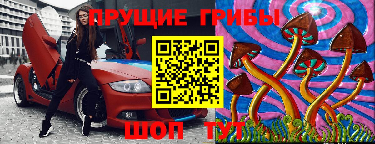 Псилоцибиновые грибы MAGIC MUSHROOMS  продажа наркотиков  Бугуруслан  Псилоцибиновые грибы MAGIC MUSHROOMS 