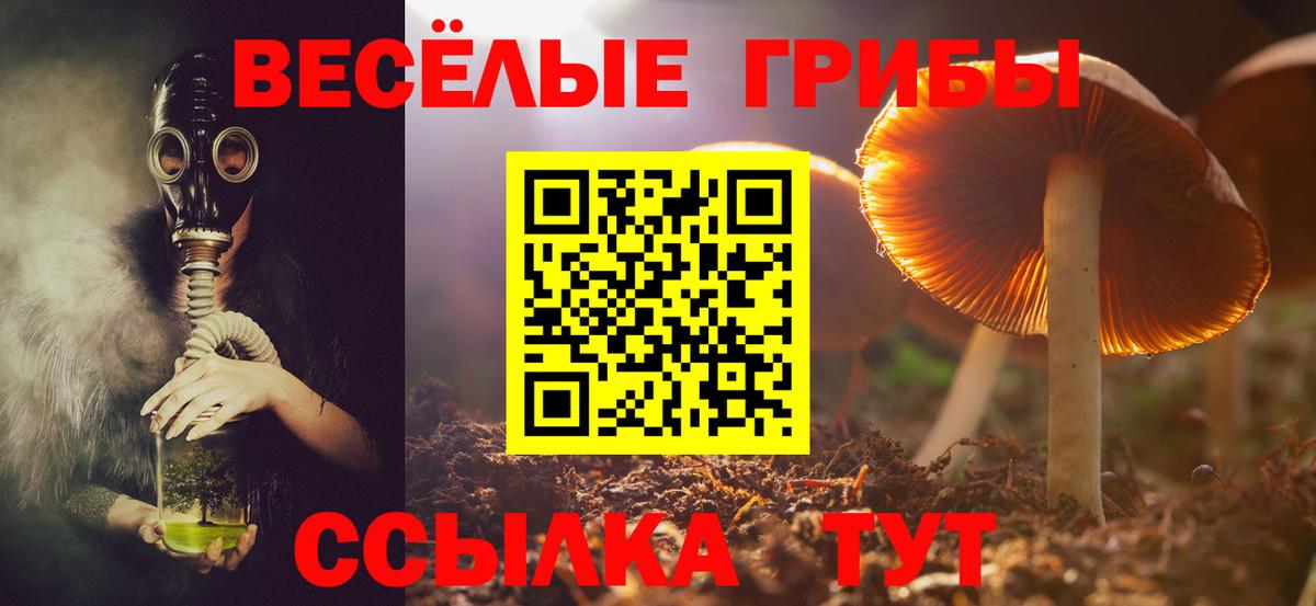 Галлюциногенные грибы мицелий  Вход с VPN  Бугуруслан 