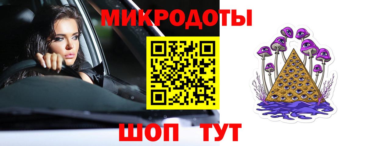 Псилоцибиновые грибы Psilocybe Бугуруслан